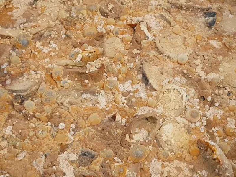 Một đống phân compost đang phân hủy tạo thành chất hữu cơ bón cây